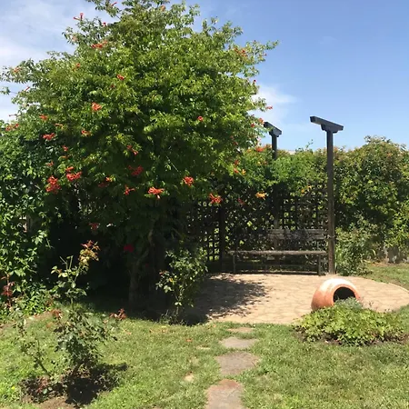 Apartmán Apolon 8 Ravda Nesebar