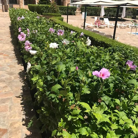 Apolon 8 Ravda Апартаменты