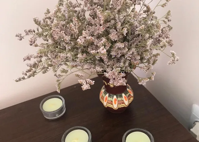 Apolon 8 Ravda Apartmán